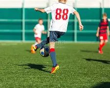 生万物,大热,爱奇艺却仍,SABA沙巴体育,沙巴体育官网,沙巴体育平台,沙巴体育官网入口