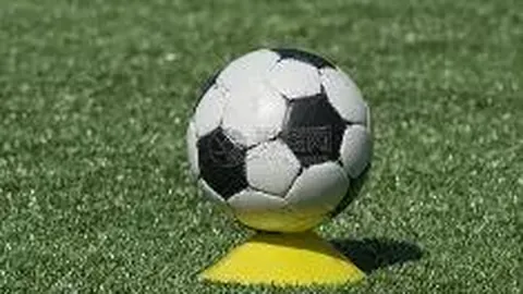 同曦队获胜老板加奖8万，教练面临奖金分配难题